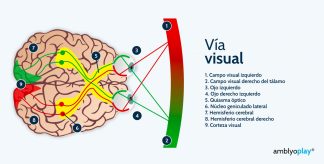 Vía visual